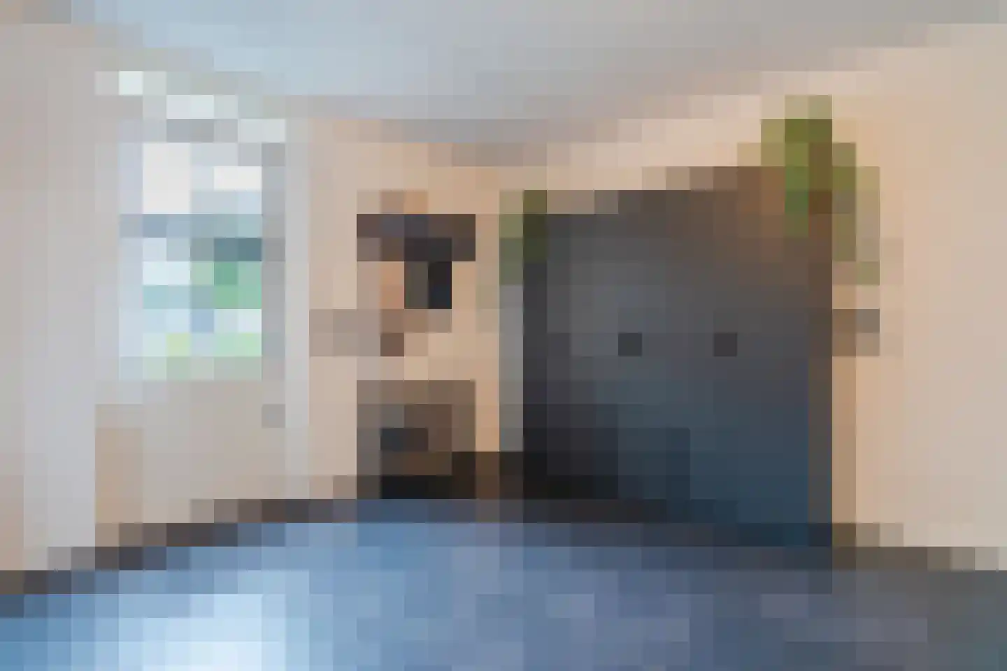 Laurier 14 Westerhaar-Vriezenveensewijk thumbnail 20