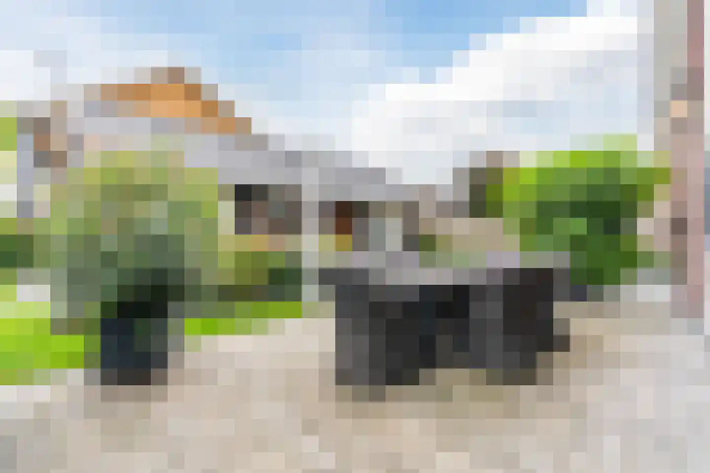 Laurier 14 Westerhaar-Vriezenveensewijk thumbnail 41