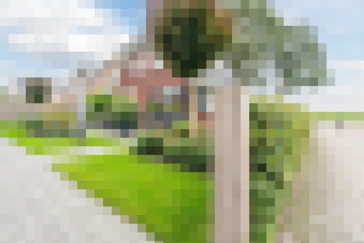 Laurier 14 Westerhaar-Vriezenveensewijk thumbnail 46