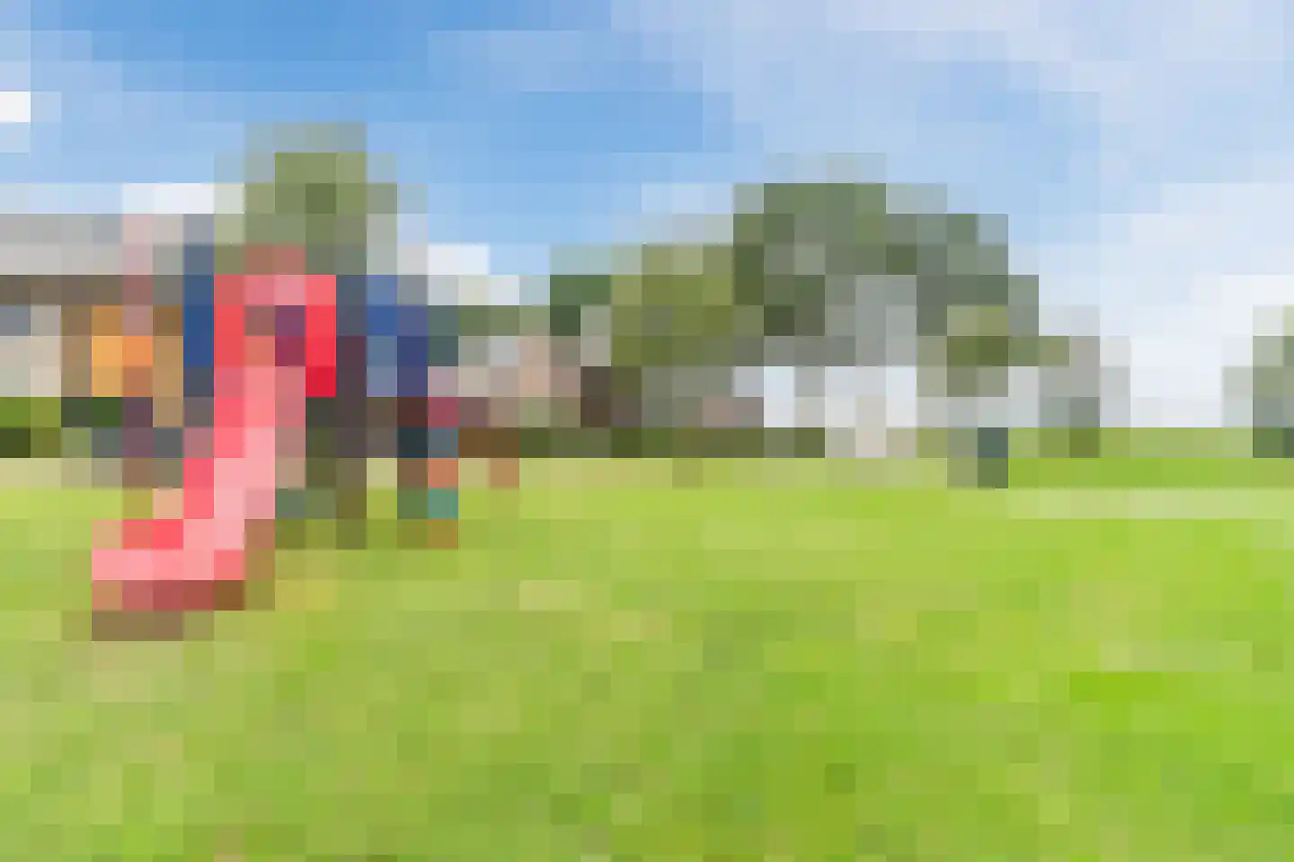 Laurier 14 Westerhaar-Vriezenveensewijk thumbnail 49