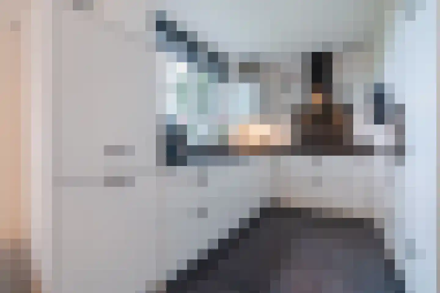 Laurier 14 Westerhaar-Vriezenveensewijk thumbnail 5