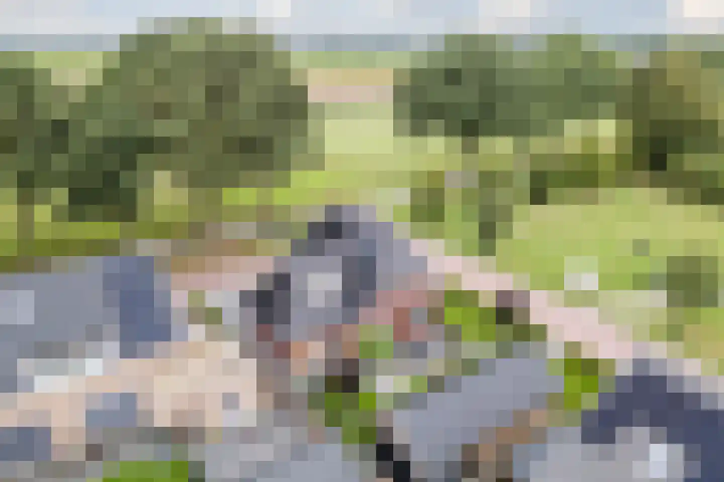 Laurier 14 Westerhaar-Vriezenveensewijk thumbnail 52