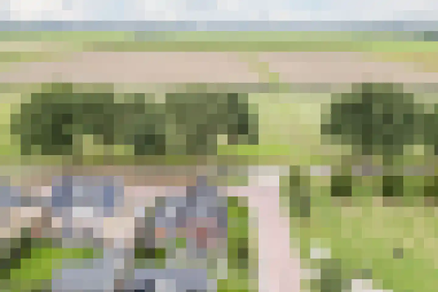Laurier 14 Westerhaar-Vriezenveensewijk thumbnail 53