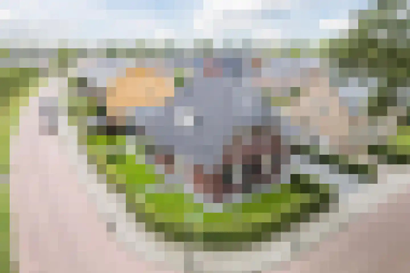 Laurier 14 Westerhaar-Vriezenveensewijk thumbnail 54