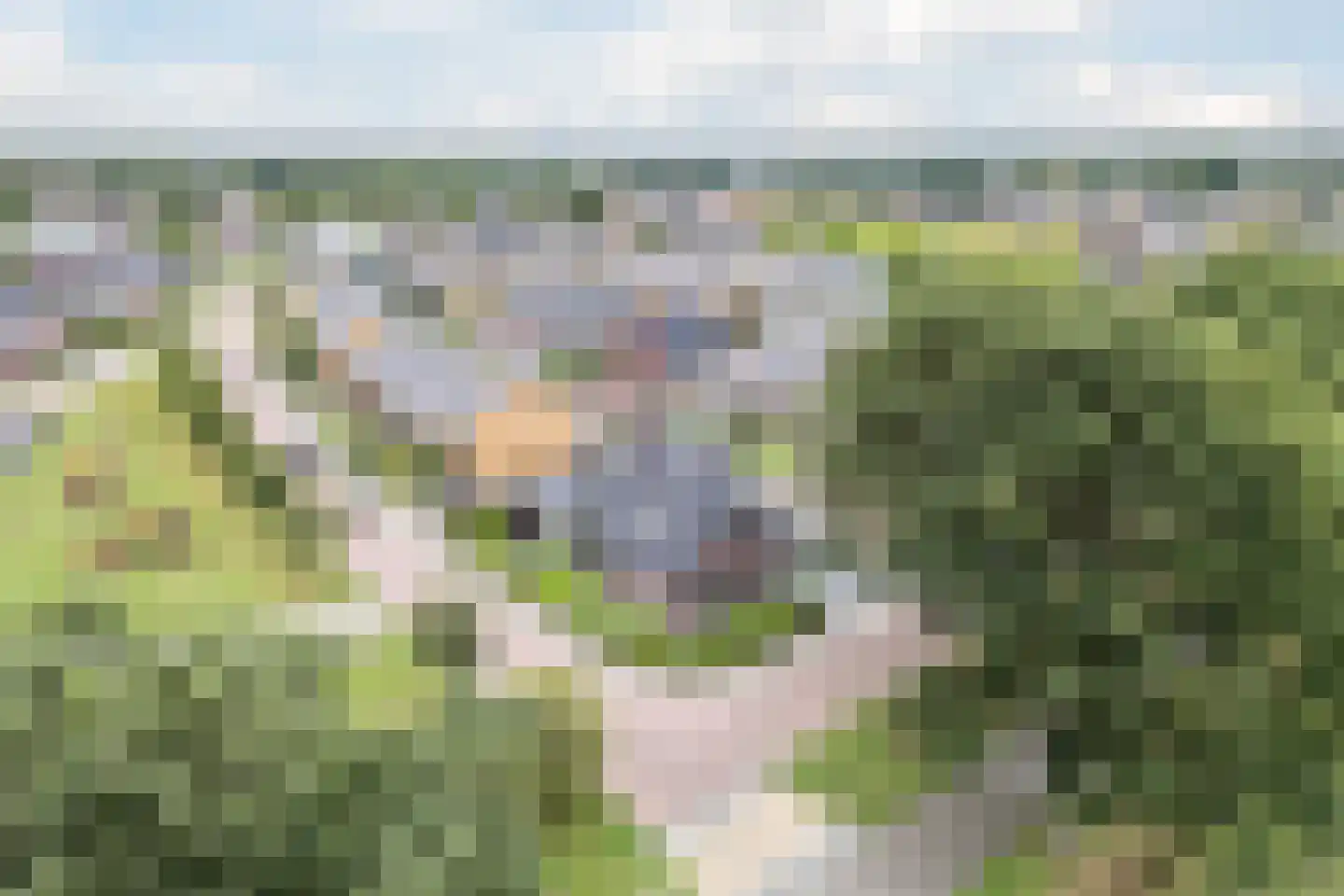 Laurier 14 Westerhaar-Vriezenveensewijk thumbnail 55