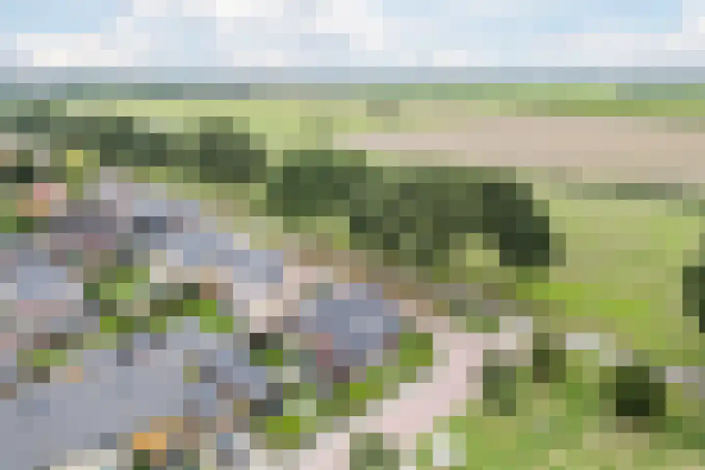 Laurier 14 Westerhaar-Vriezenveensewijk thumbnail 56