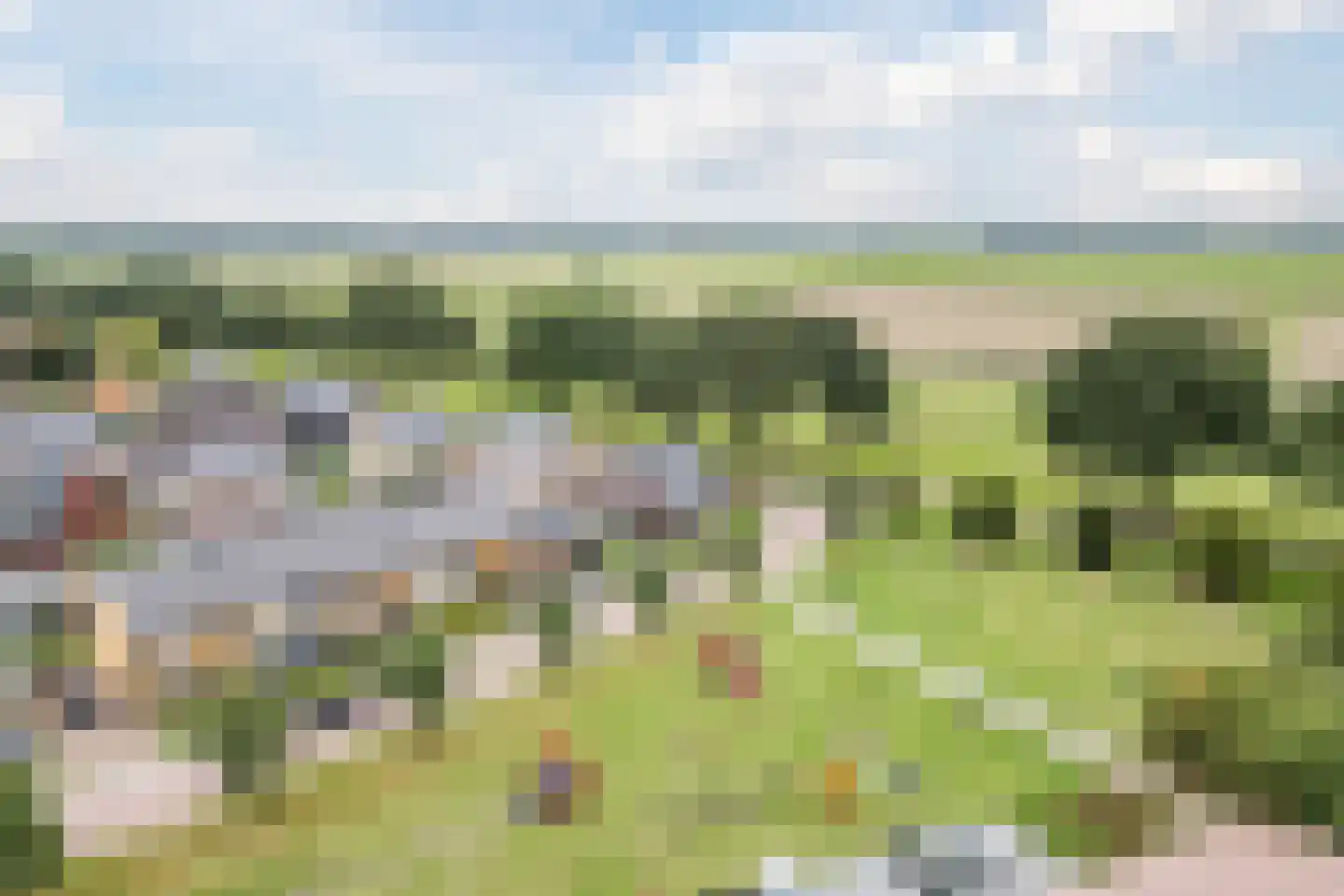 Laurier 14 Westerhaar-Vriezenveensewijk thumbnail 60