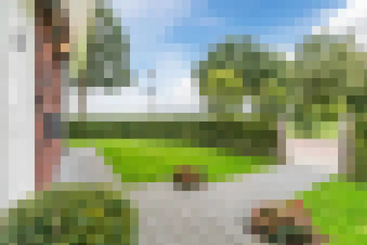 Laurier 14 Westerhaar-Vriezenveensewijk thumbnail 63