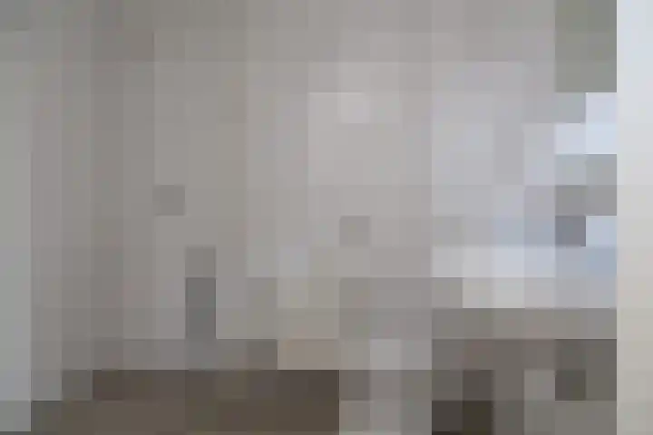 Laurier 16 Raalte thumbnail 13
