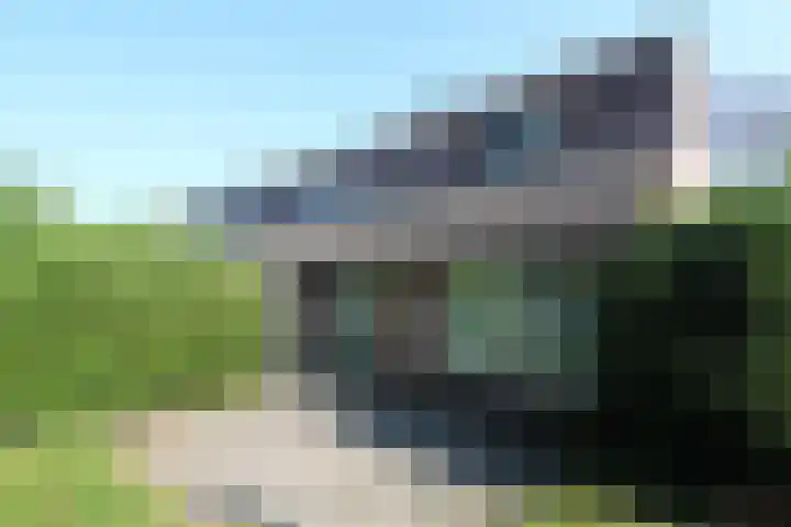 Laurier 16 Raalte thumbnail 14