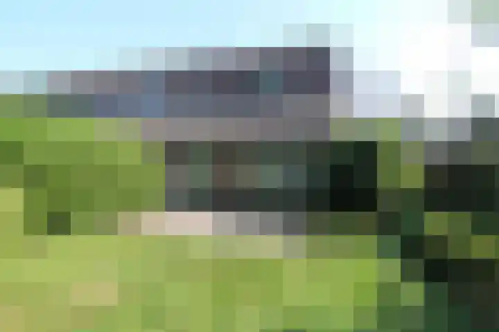 Laurier 16 Raalte thumbnail 15