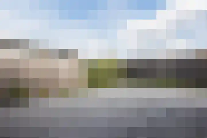 Laurier 2 b Westerhaar-Vriezenveensewijk thumbnail 27