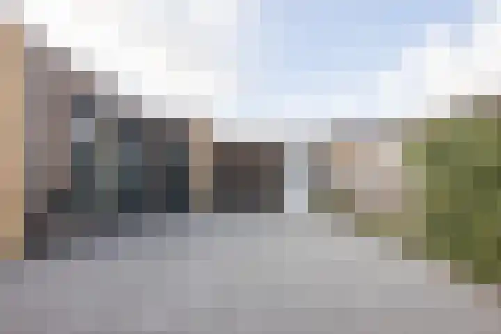 Laurier 2 b Westerhaar-Vriezenveensewijk thumbnail 30