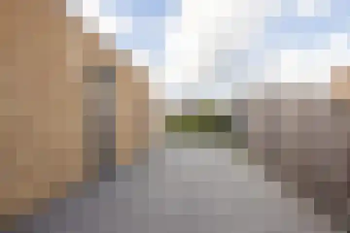 Laurier 2 b Westerhaar-Vriezenveensewijk thumbnail 32