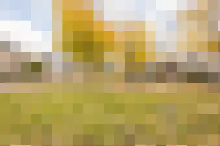 Laurier 2 b Westerhaar-Vriezenveensewijk thumbnail 33