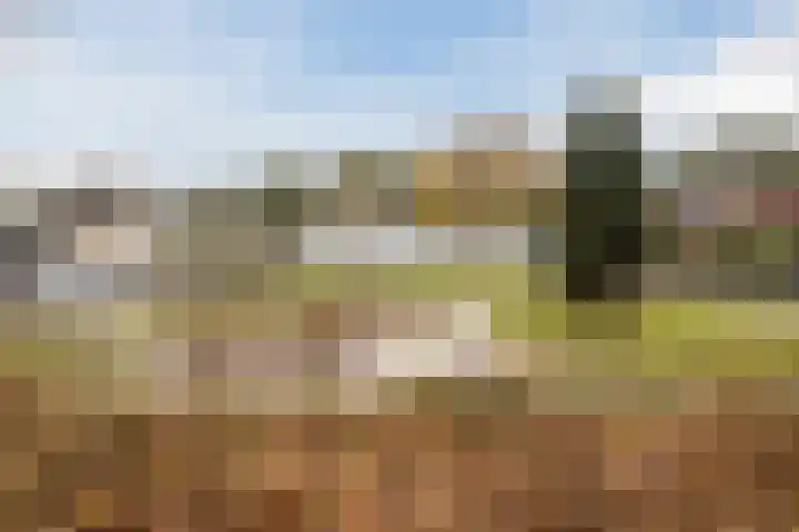 Laurier 2 b Westerhaar-Vriezenveensewijk thumbnail 34