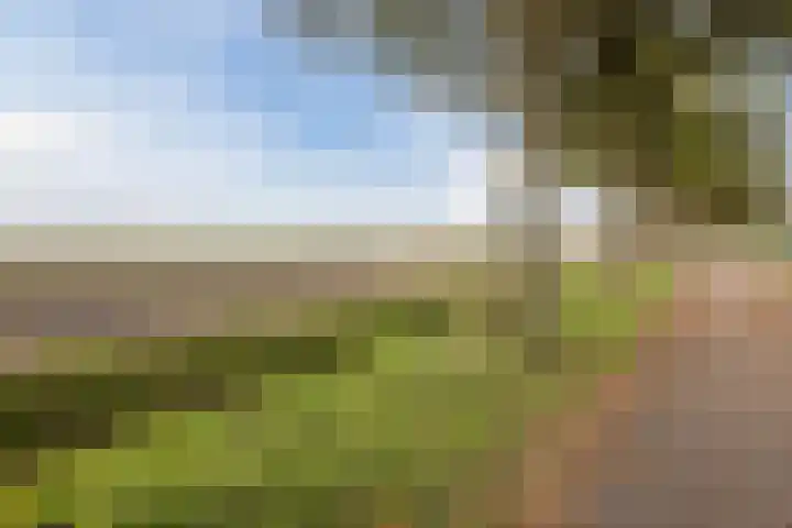 Laurier 2 b Westerhaar-Vriezenveensewijk thumbnail 35