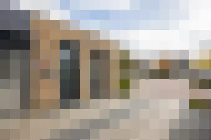 Laurier 2 b Westerhaar-Vriezenveensewijk thumbnail 5