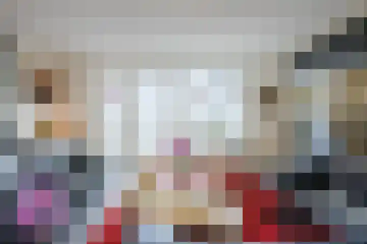 Laurier 2 b Westerhaar-Vriezenveensewijk thumbnail 6