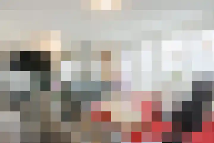 Laurier 2 b Westerhaar-Vriezenveensewijk thumbnail 7