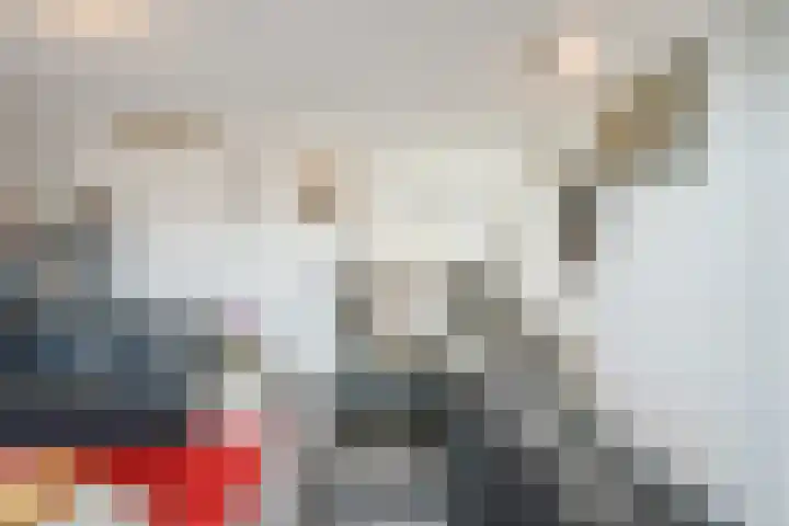 Laurier 2 b Westerhaar-Vriezenveensewijk thumbnail 9