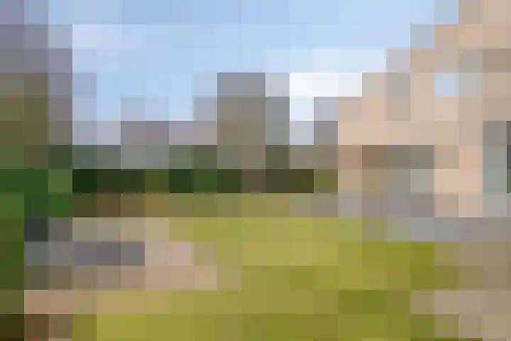 Laurier 2 Valkenswaard thumbnail 26