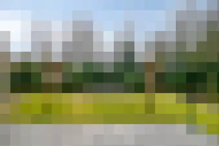 Laurier 2 Valkenswaard thumbnail 27