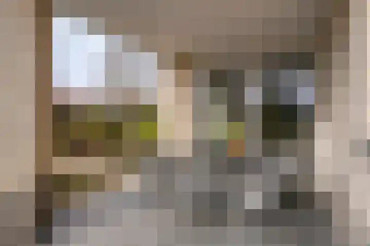Laurier 2 Valkenswaard thumbnail 29
