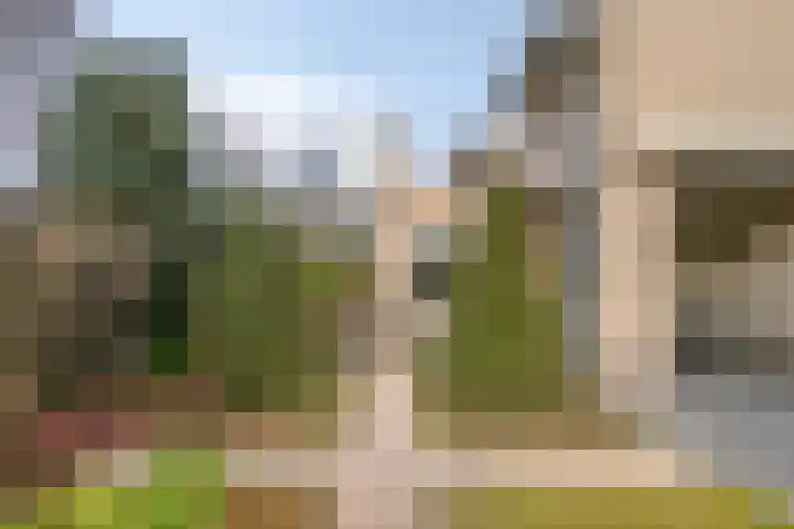 Laurier 2 Valkenswaard thumbnail 30