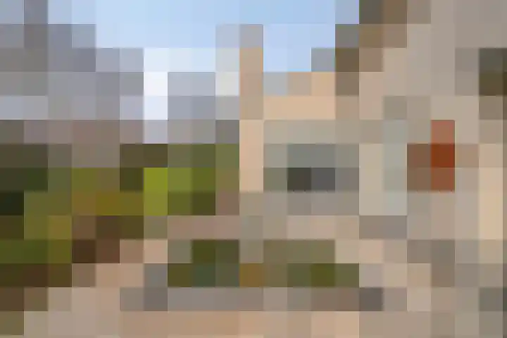 Laurier 2 Valkenswaard thumbnail 31