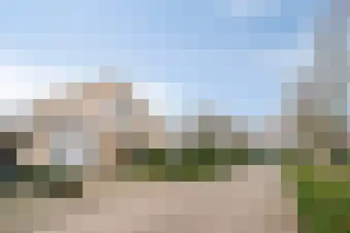 Laurier 2 Valkenswaard thumbnail 34
