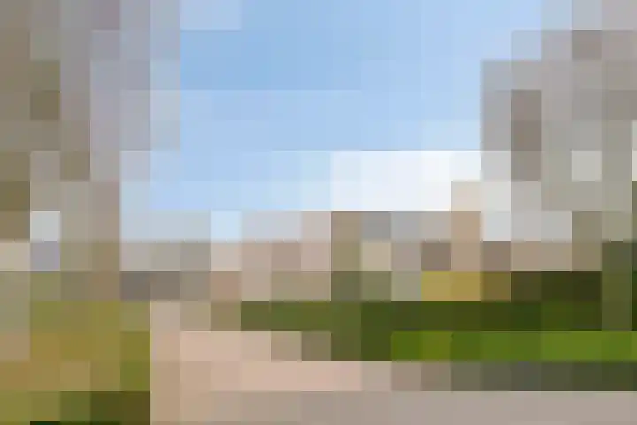 Laurier 2 Valkenswaard thumbnail 35