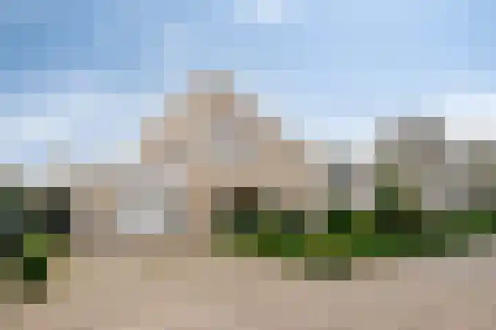 Laurier 2 Valkenswaard thumbnail 36