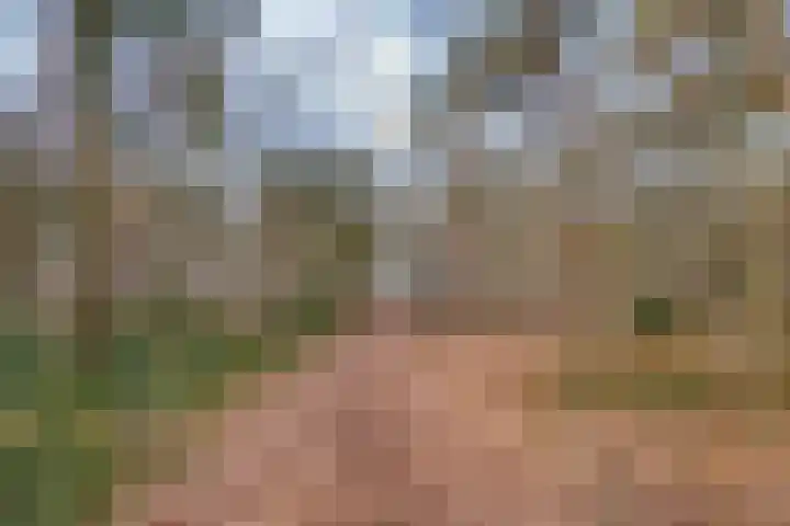 Laurier 2 Valkenswaard thumbnail 37