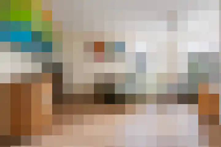 Laurier 39 Oud Gastel thumbnail 10