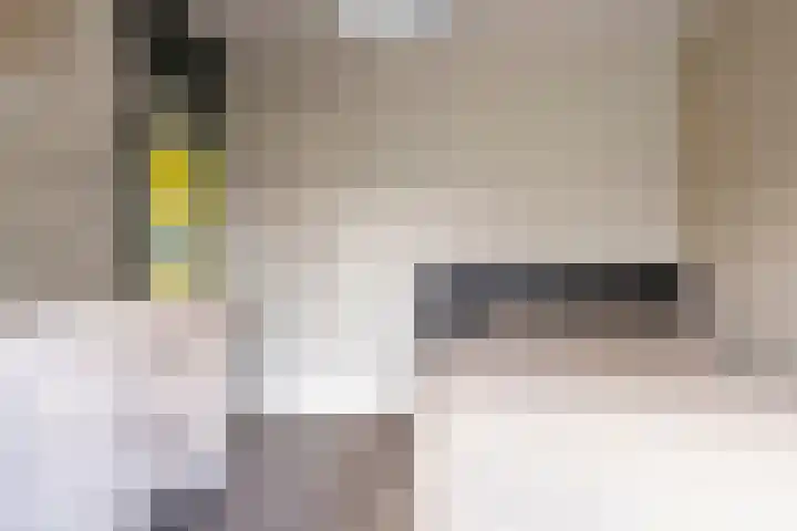 Laurier 39 Oud Gastel thumbnail 31