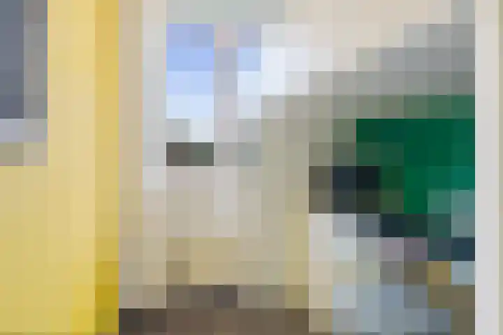 Laurier 39 Oud Gastel thumbnail 33