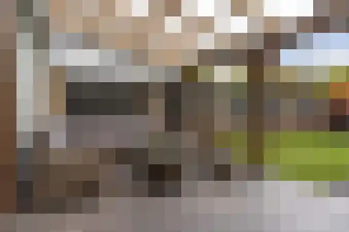 Laurier 39 Oud Gastel thumbnail 46