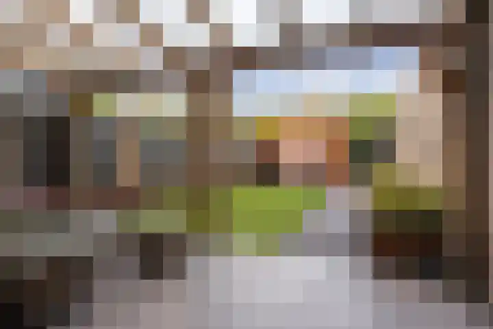 Laurier 39 Oud Gastel thumbnail 47