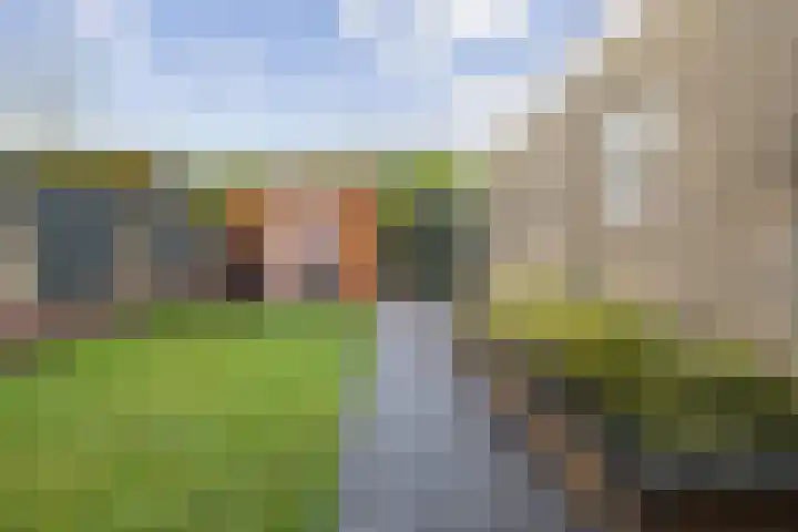 Laurier 39 Oud Gastel thumbnail 48