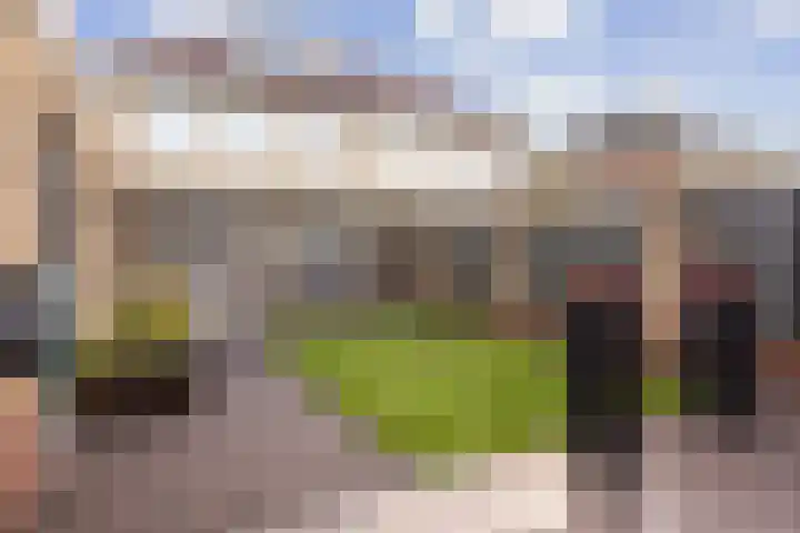 Laurier 39 Oud Gastel thumbnail 7