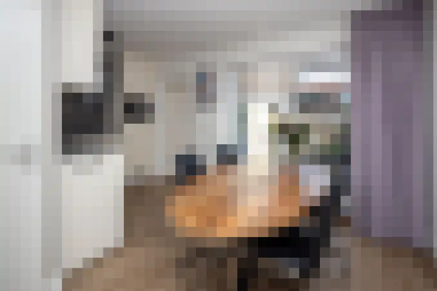 Laurier 4 Hoogkarspel thumbnail 12