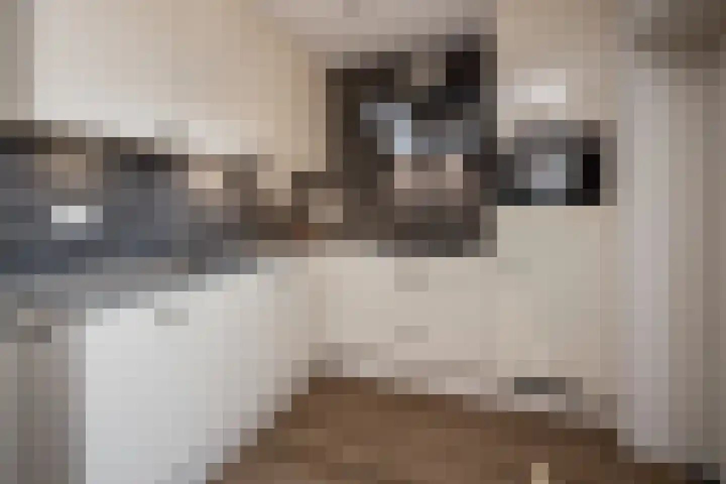 Laurier 4 Hoogkarspel thumbnail 13