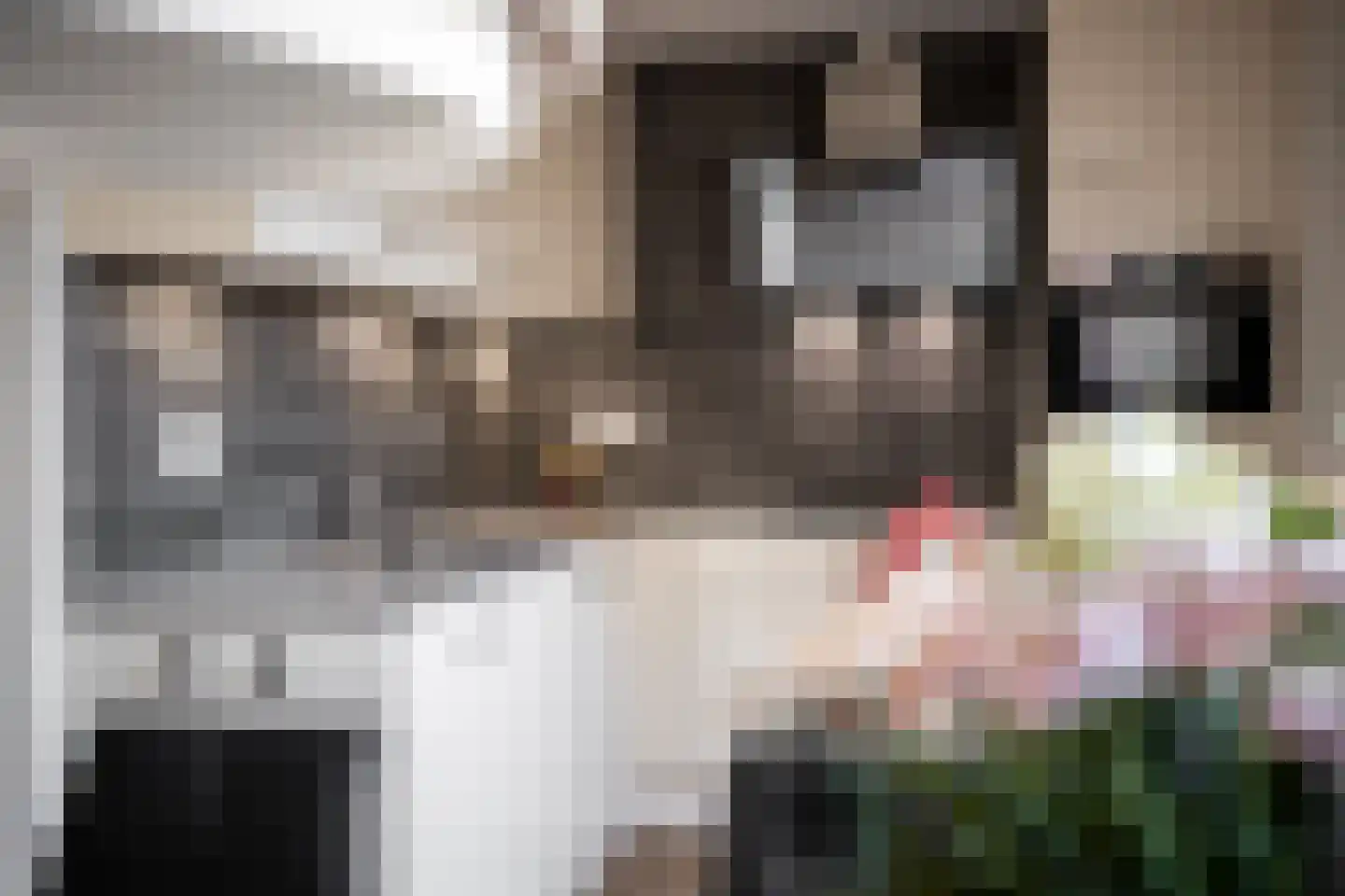 Laurier 4 Hoogkarspel thumbnail 15