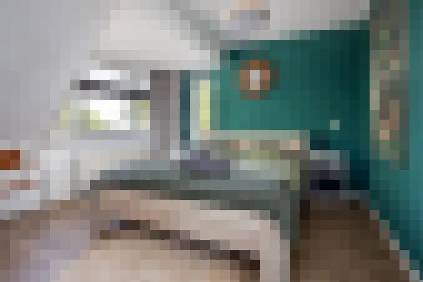 Laurier 4 Hoogkarspel thumbnail 16