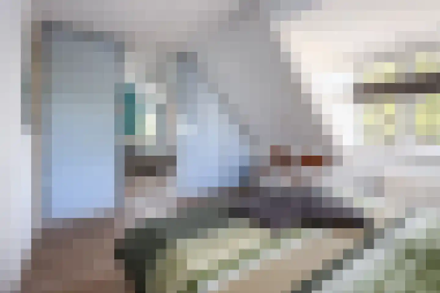 Laurier 4 Hoogkarspel thumbnail 17