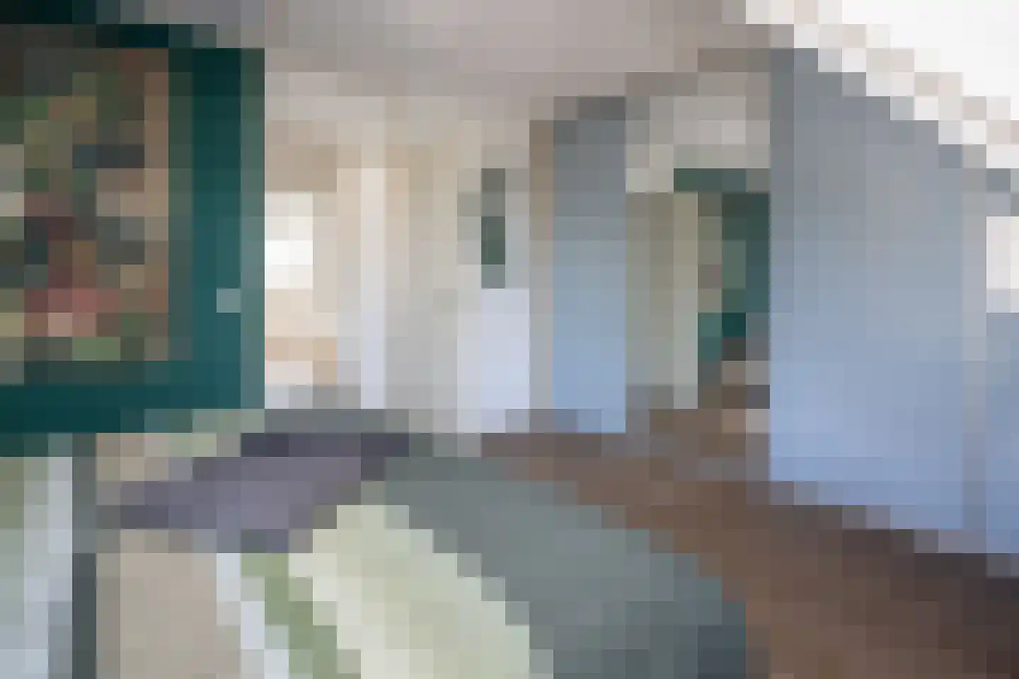 Laurier 4 Hoogkarspel thumbnail 18