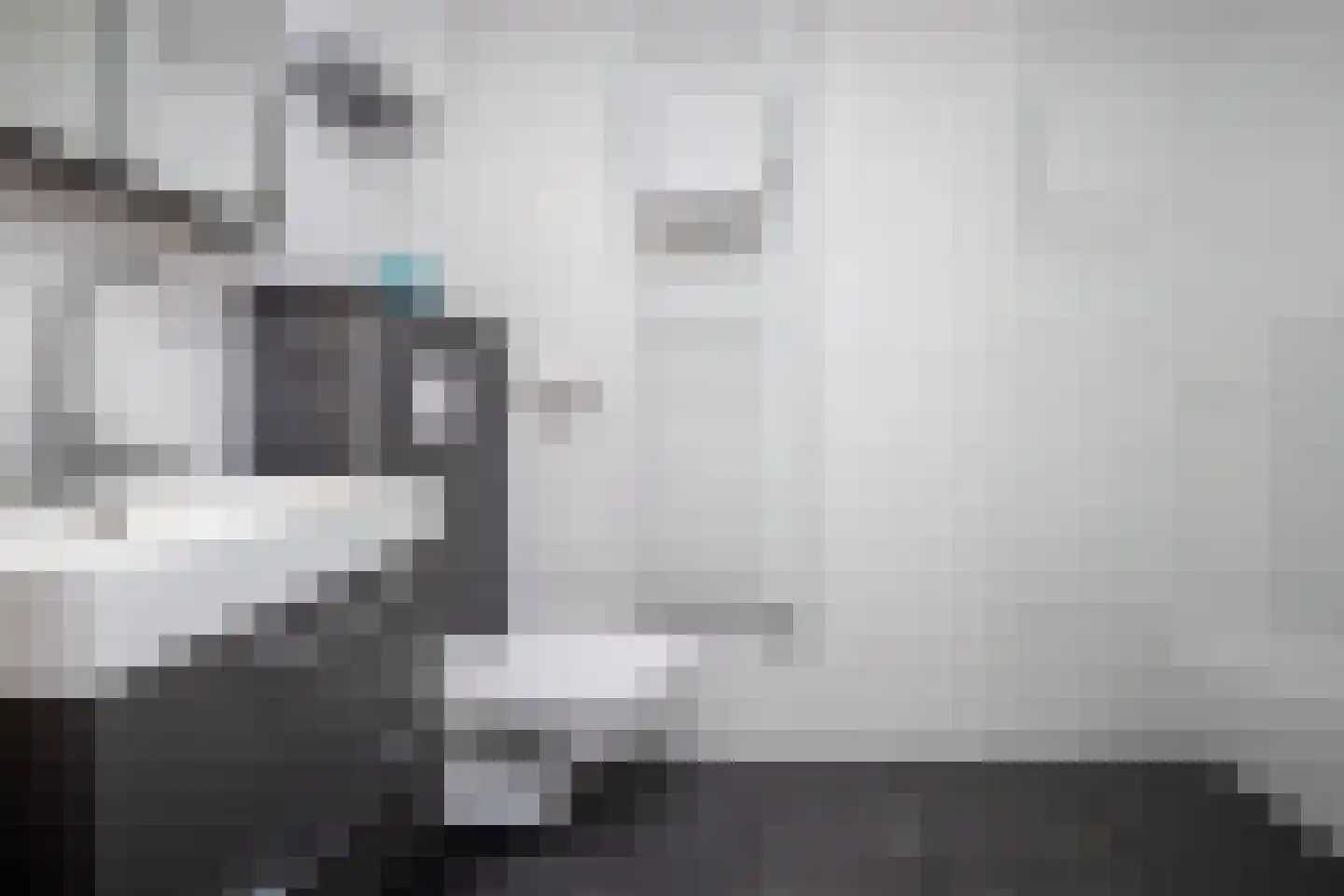 Laurier 4 Hoogkarspel thumbnail 19