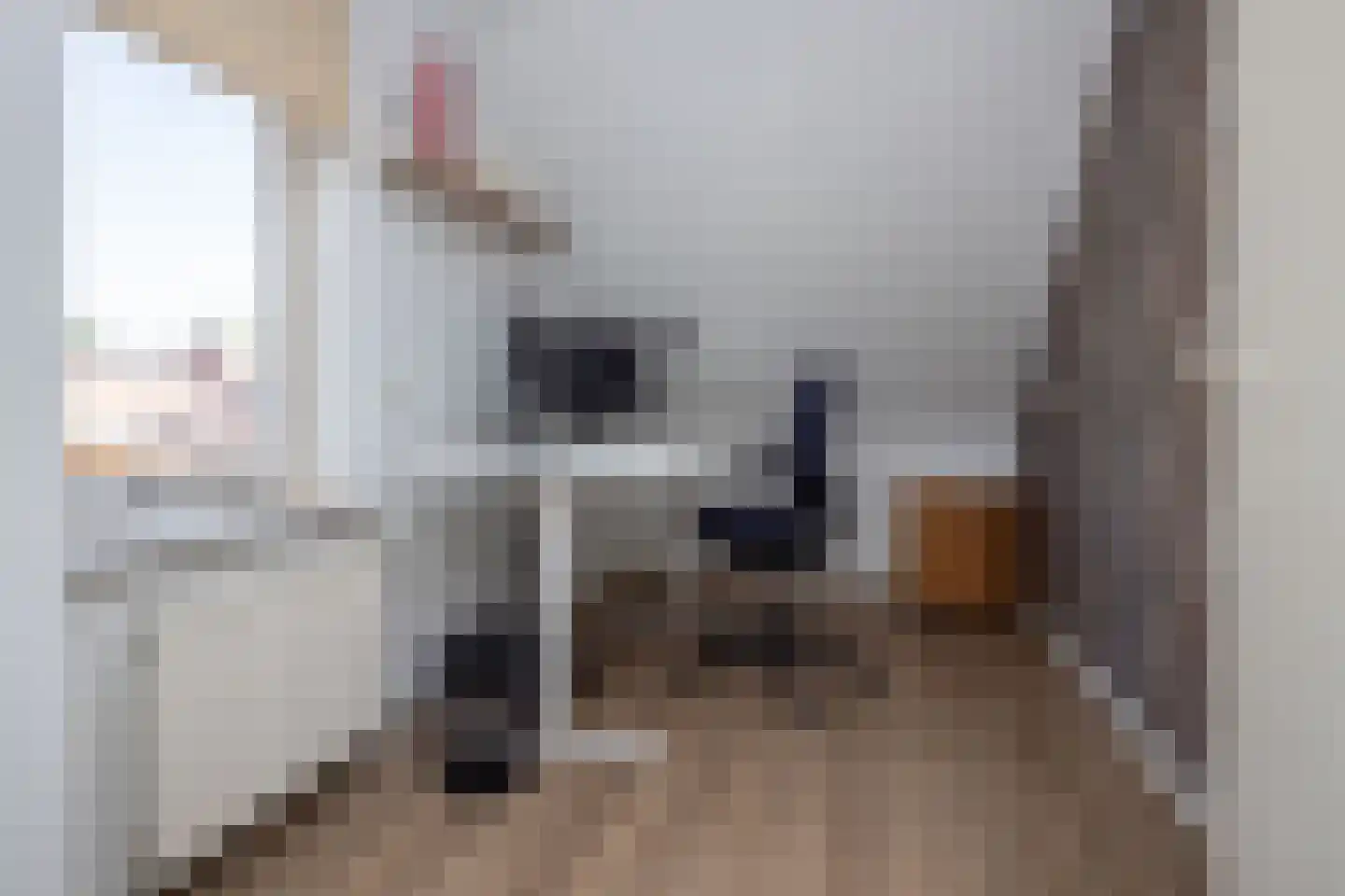Laurier 4 Hoogkarspel thumbnail 21