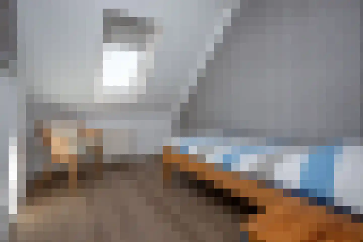 Laurier 4 Hoogkarspel thumbnail 22